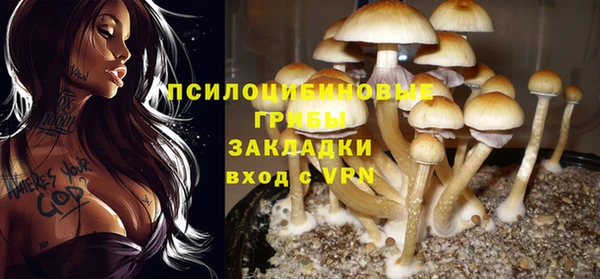 герыч Балахна